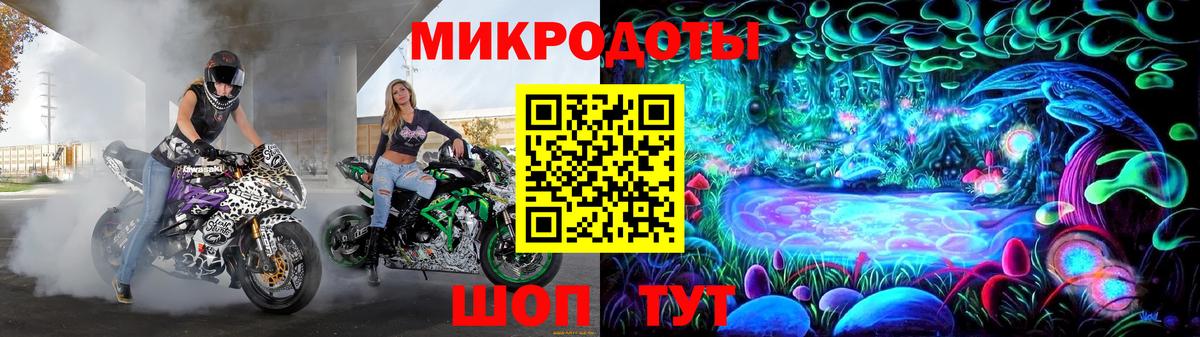 Псилоцибиновые грибы Psilocybine cubensis Энгельс